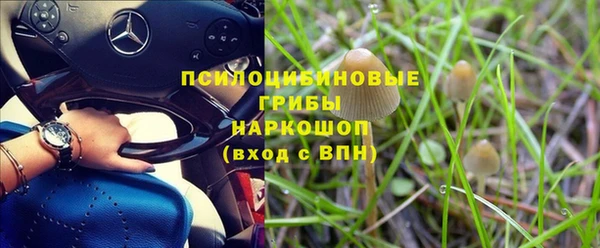 крисы Армянск