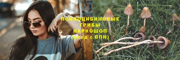 тгк Аркадак